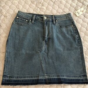Stylish Blue Denim Pencil Skirt